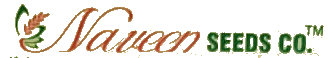 Naveed Seed Company