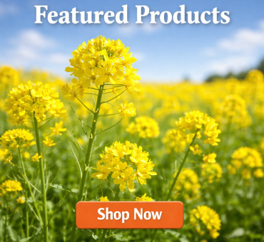 ChatGPT Image Dec 22, 2025, 03_23_12 PM